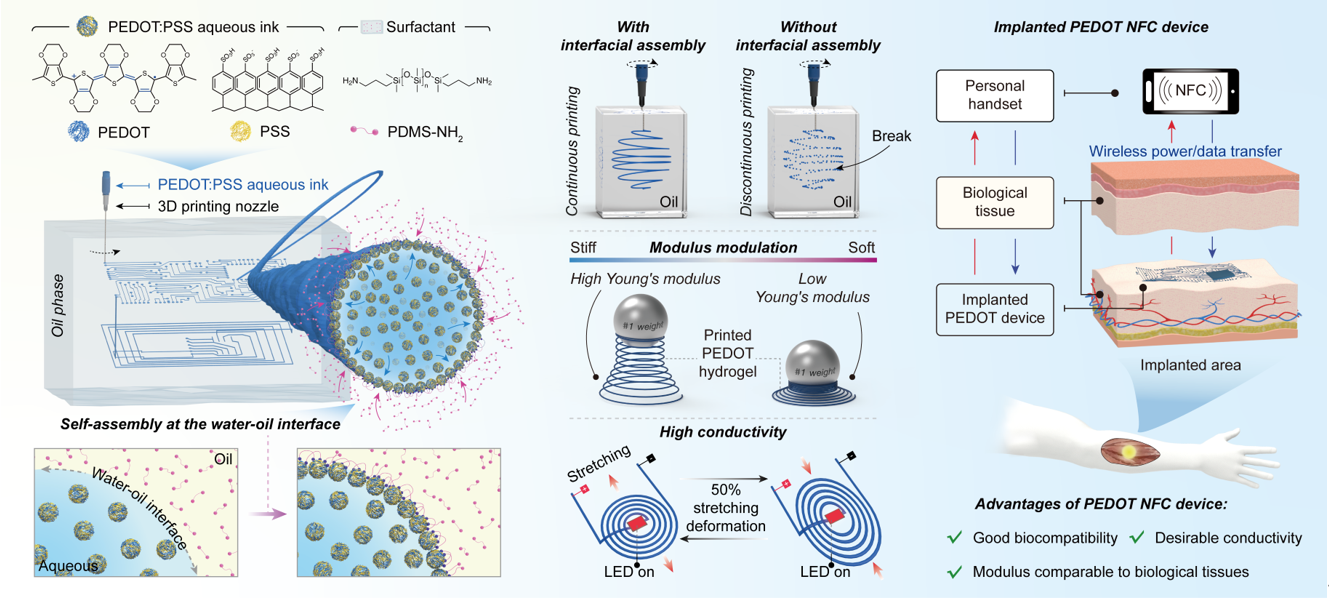 我校高分子学院冯文骞团队在液-液3D打印技术制备PEDOT:PSS三维导电水凝胶领域取得新进展-四川大学新闻网