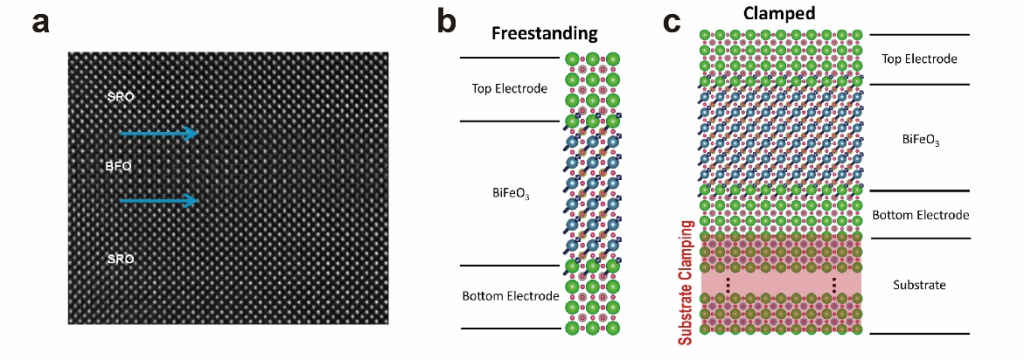 材料学院施奇武副教授在低功耗多铁薄膜研究方向取得重要进展