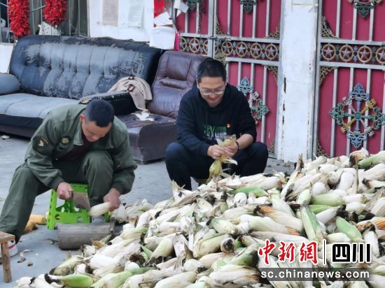 为民办实事:陶铁军协助村民收割、整理并存储玉米。黑水县委宣传部供图 为民办实事:陶铁军协助村民收割、整理并存储玉米。黑水县委宣传部供图